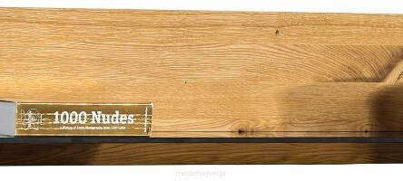 Panel z półka Dallas typ 35